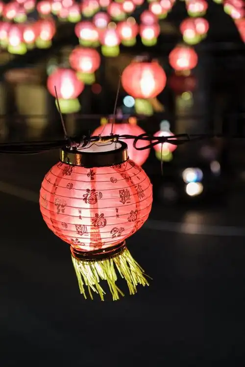 喜庆漂亮的红灯笼图片第7张