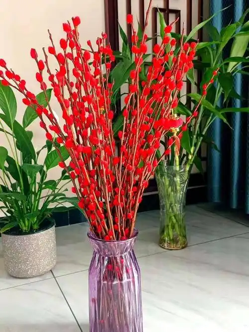 彩色银柳怎么养,要不要放水?