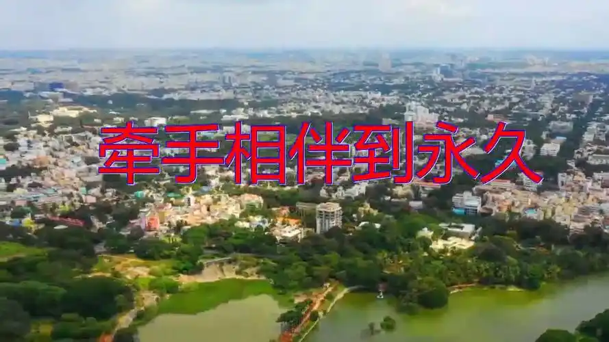 蔡红军《牵手相伴到永久》,犹如天籁,唱功厉害