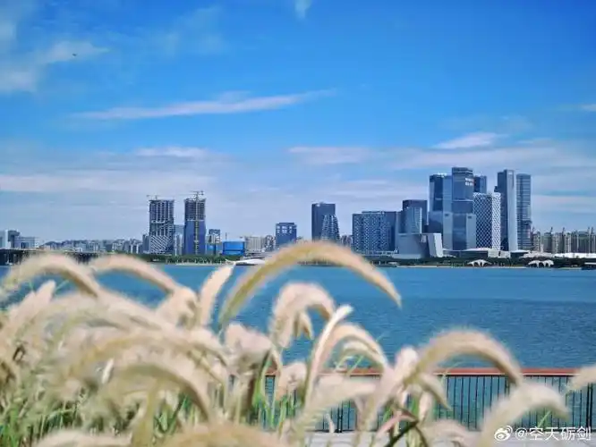 万千气象看广东#上午来到了深圳的前海石公园,公园位于深圳市南山区