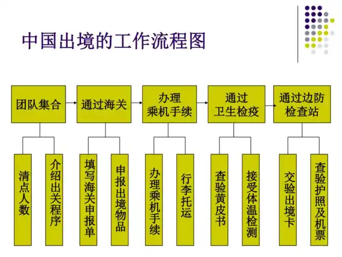 第六章中国出境与他国地区入境pptppt