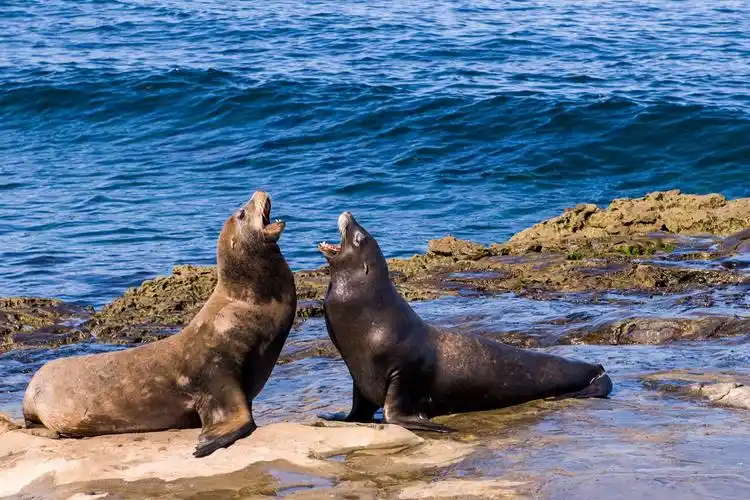 美西之恋 - 美篇