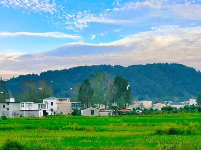 新县大别山乡村