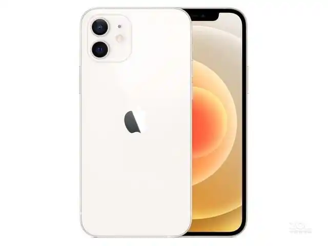 青岛抢苹果新机 iphone 12仅售6630元-苹果 iphone 12_济南手机行情