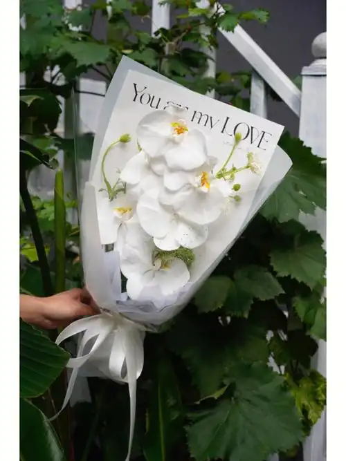 蝴蝶兰花束夏日清凉风蝴蝶兰单品花束