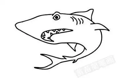 鲨鱼简笔画可爱 鲨鱼简笔画可爱彩色