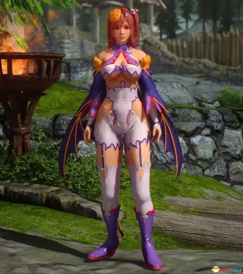 【指路/搬运】日网上死或生5穗乃果(honoka)人套(有两个版本)