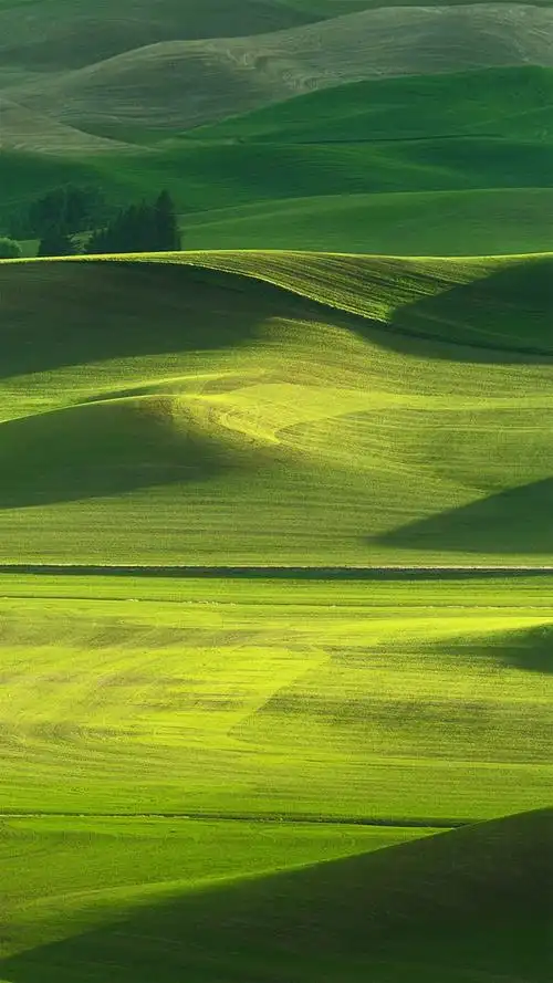 oppor7内置官方壁纸oppo壁纸内置壁纸官方壁纸自带壁纸