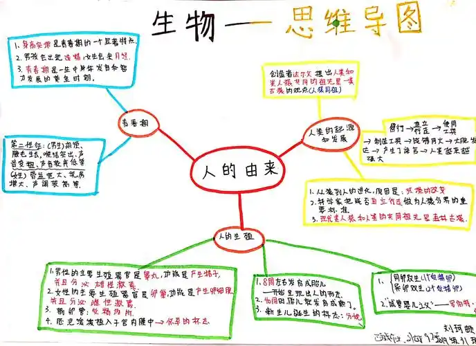 榜样的力量01:思维导图"人的由来"作业展评