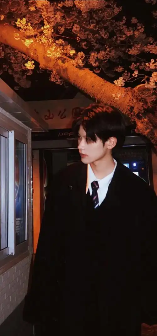 帅哥壁纸鸭倘若我偏要以爱之名束缚你呢