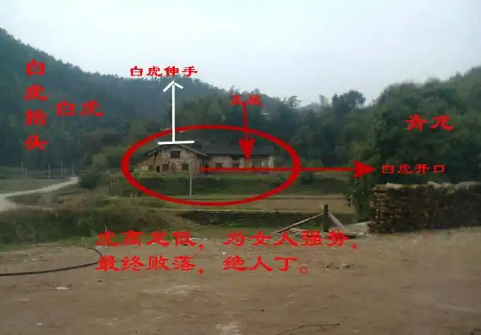 为何他们谓之如真虎?