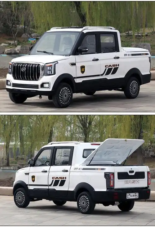 双排皮卡电动车电瓶车家用电动小型带斗用电爬坡厢货车轿新能源