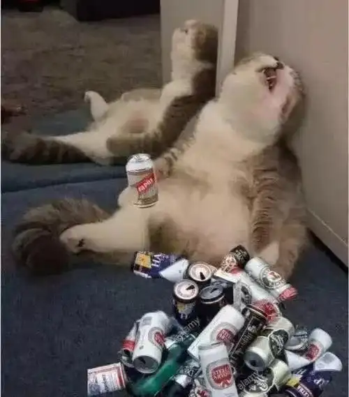 喝啤酒(每日3次,每次一罐 饭后服用)表情包 - 表情图