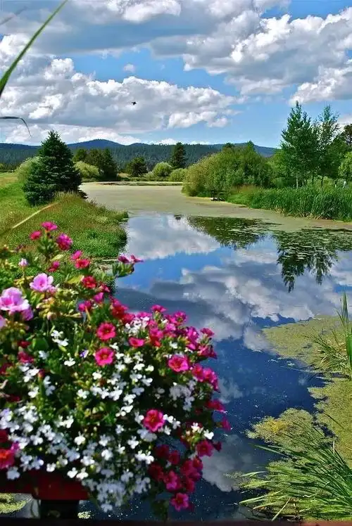 美图生活夏日最唯美的自然环境