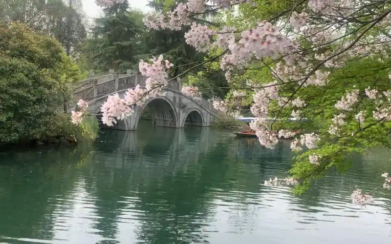 西湖十景之花港观鱼