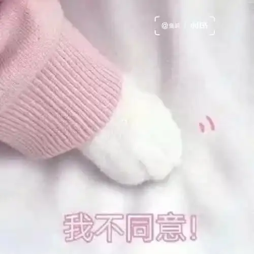 猫爪表情包拍桌