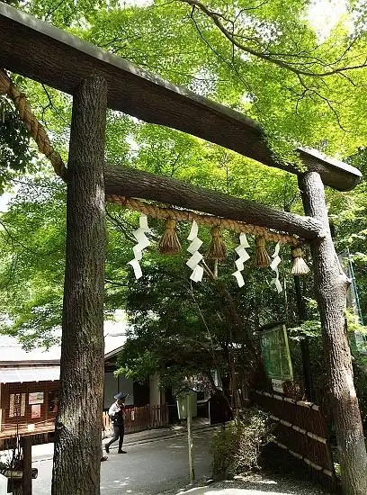 京都游记(五)岚山嵯峨野