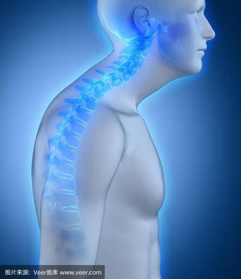 脊柱后凸侧位图