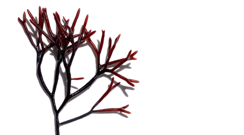 extra firming cream, best anti-aging cream - clarins