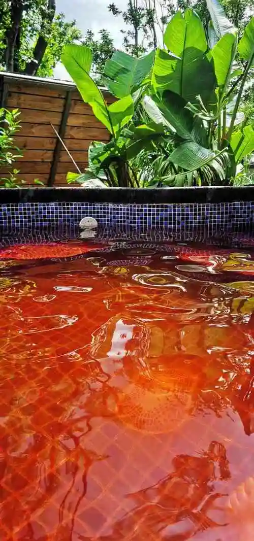 世界恐龙谷栖龙湾温泉-"环境非常好[强]设施齐全,温泉7615汤池比.