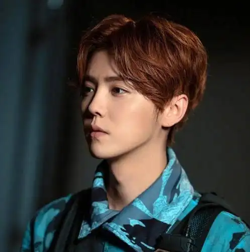 微信头像鹿晗关晓彤