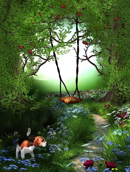 梦幻的童话森林意境图片_人间仙境的地方_唯美图片_精品库