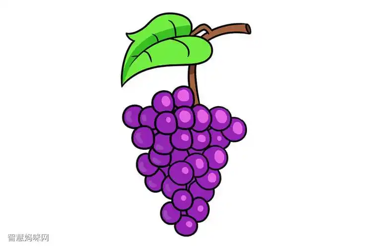 紫葡萄的画法步骤
