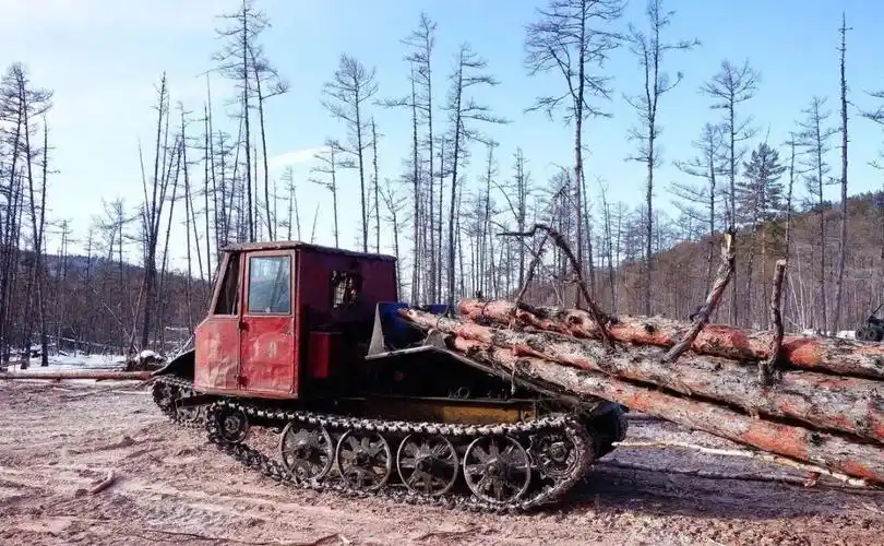 大兴安岭集材司机,你还记得停伐前工作的场景吗?_拖拉机