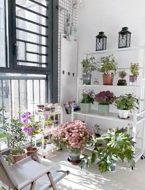 90后改造入户花园:花架大揭秘!