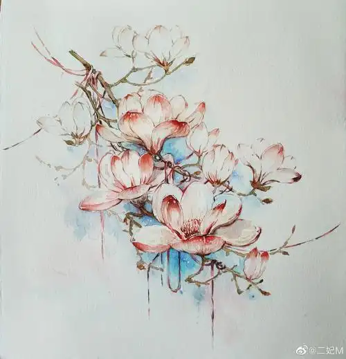 水彩##古风插画# 作者:@二妃m玉兰花开的甚好～!