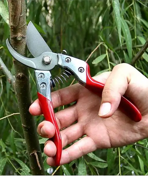 树枝种花草花匠剪子园林花园修理粗枝木剪枝绿化修剪工具枝条剪修枝剪