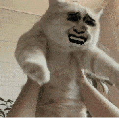 金馆长猫咪搞笑逗比gif动图_动态图_表情包下载_soogif