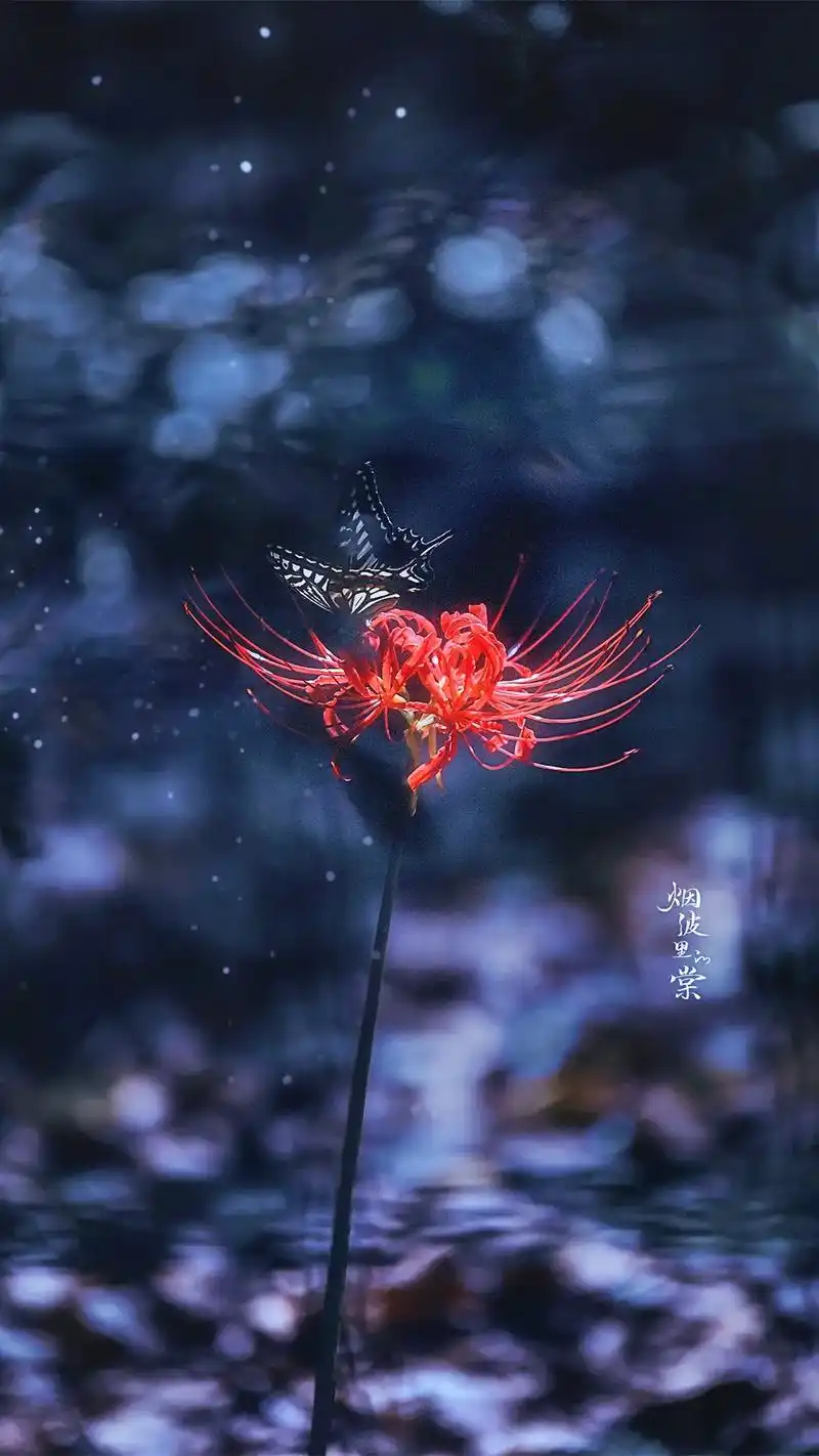 彼岸花开不记年浮生如梦久长眠