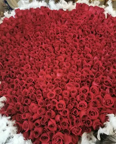 但是杨钰莹却比少女还要有少女心,在生日这一天收到了999朵玫瑰花,不