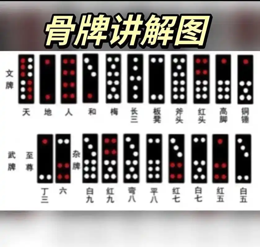 广东骨牌 #海南骨牌 #华南f3 #牌九规则讲解 - 抖音