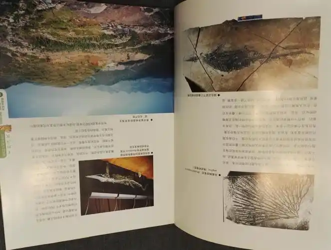 关岭生物群 2004 仅1200册