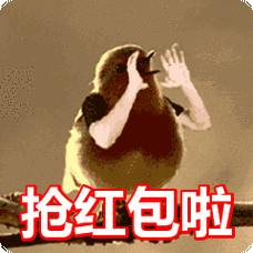 抢红包啦表情包