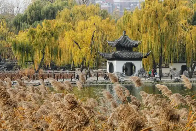 最后的秋色,陶然亭公园