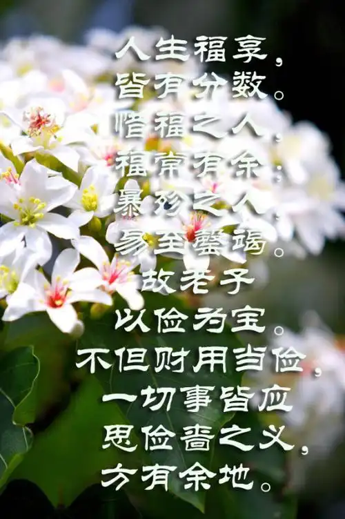 净空法师法语: 清净是自受用,慈悲是他受用.