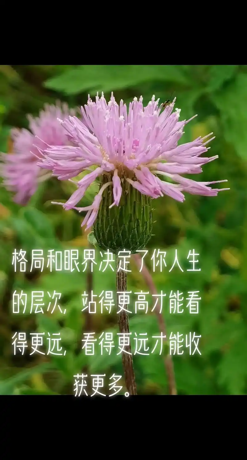 格局和眼界决定了你人生的层次,站得更高才能看得更远,看得更远 - 抖