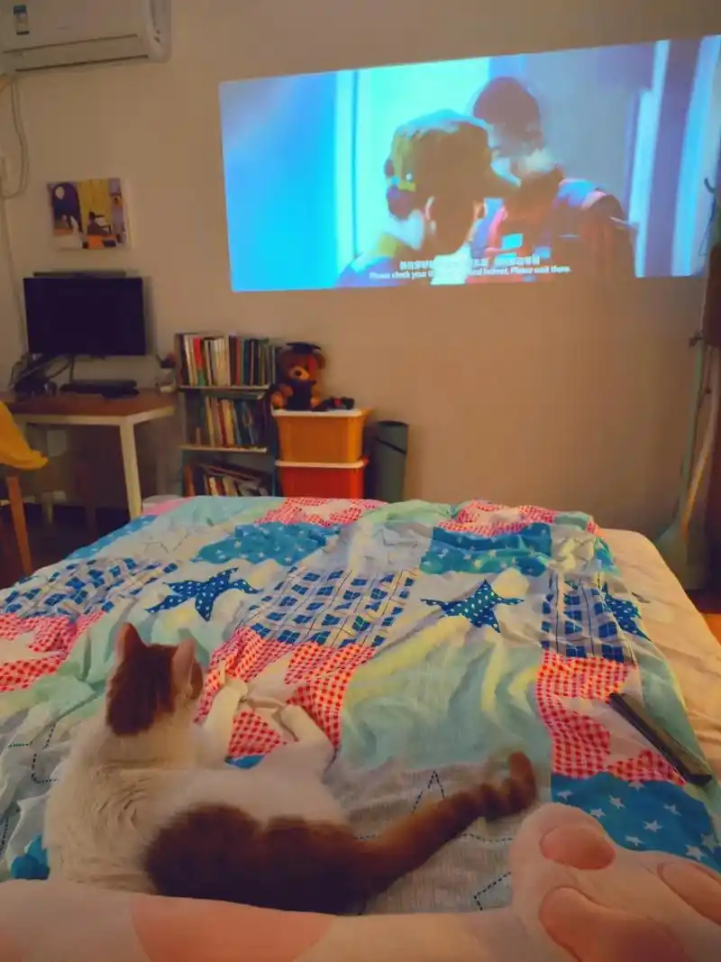 白天躺人怀里睡觉晚上躺床上 - 抖音