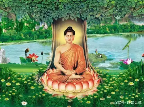 打坐 才是佛陀在菩提树下的觉悟