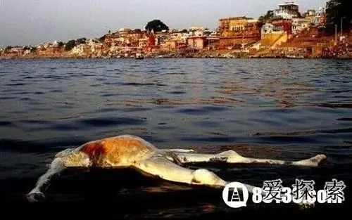 胆小勿进尸体横漂的印度恒河水葬2