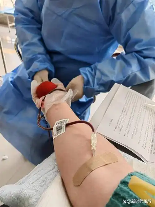 无偿献血暖人心,尽责育人展担当