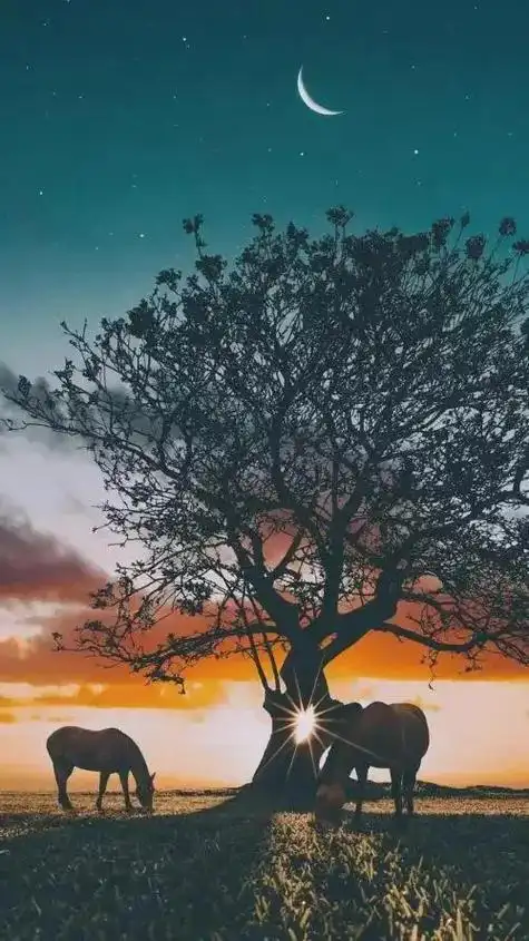 那些超级好看的壁纸4 - 抖音