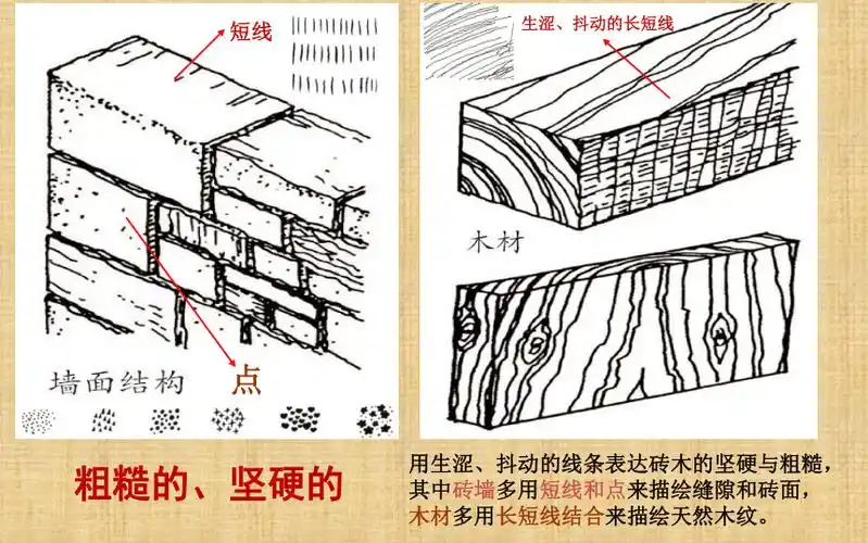 岭南版五下8不同物象的表面特征课件10张