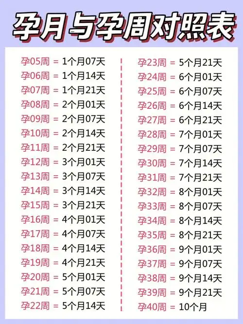 97孕周,预产期怎么算?附怀孕每周注意事项