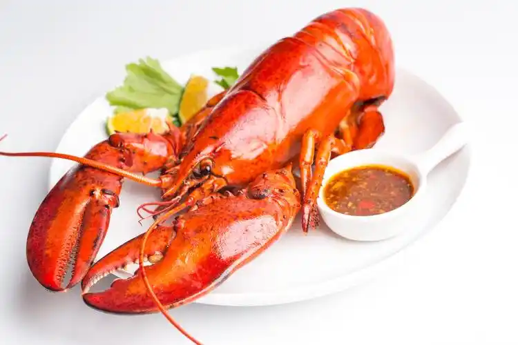 p>波士顿龙虾,属于海螯虾科 a target="_blank" href="/item/螯龙虾