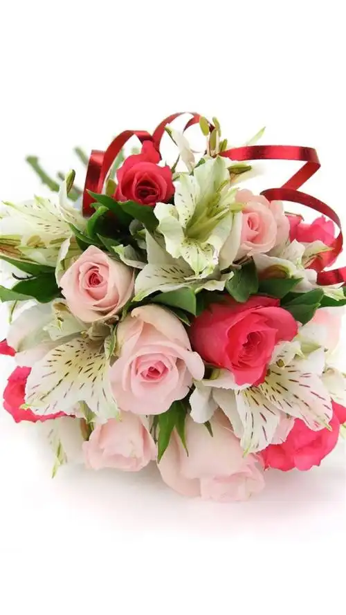 浪漫爱情与玫瑰