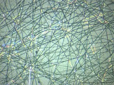 明美金相显微镜助力河南大学纳米线观察